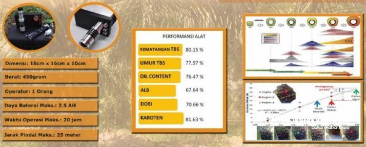 Sekali Keker, 6 Macam Kualitas TBS Langsung Ketahuan