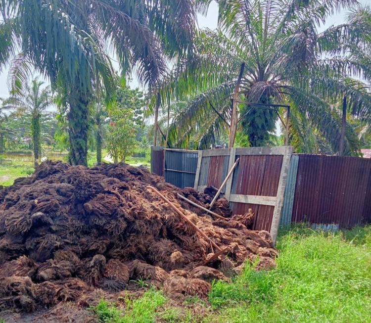 Sawit Penyelamat Ekonomi RI saat Covid 19, Itu Faktanya Kata Eks Mentan