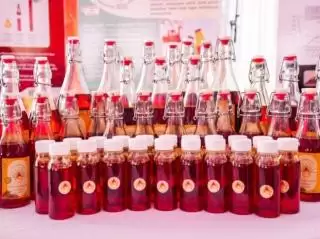 Biar Masyarakat Familiar Minyak Makan Merah Disosialisasikan di Riau