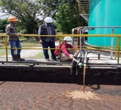 Limbah Cair Sawit Dikembangkan Jadi Biogas Bakal Pengganti Minyak Bumi
