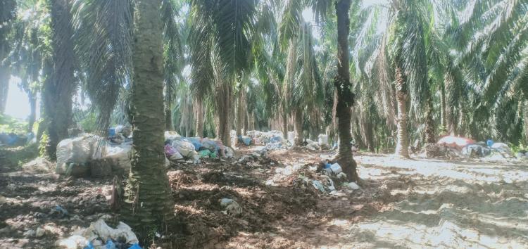 Berserakan di Kebun Sawit, DLH Rohul Dituding 'Main-main' Tangani Sampah