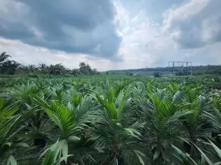 Gonta-ganti Regulasi Bikin Realisasi Sarpras Tak Sesuai Harapan