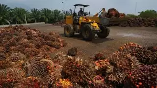 DJBC Riau Pesimis Target 2024 Tercapai