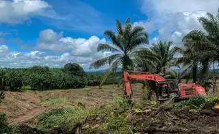 2.000 Hektar Kebun Sawit di Rohul Diajukan Ikut Program PSR Tahun Ini