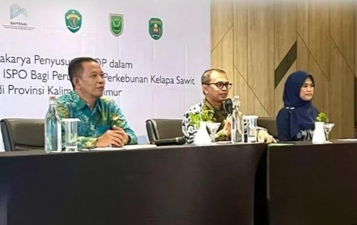 Gandeng USAID SEGAR, Disbun Kaltim Susun SOP Perkebunan Berkelanjutan