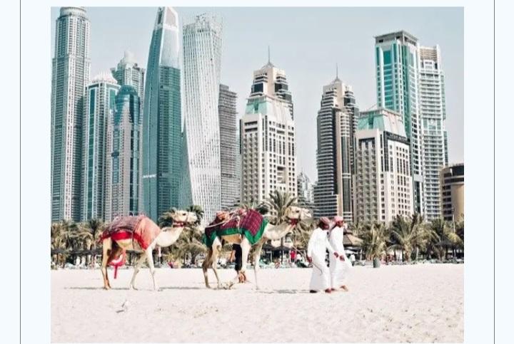 Dari Pasir Hingga Pantai, Indonesia Bersiap Rasakan Glamornya Dubai.