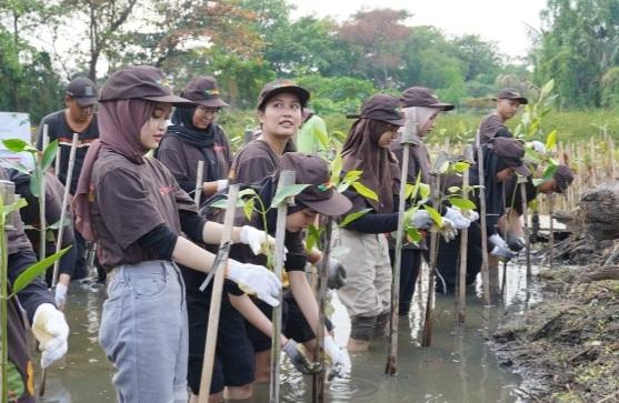 PT Pigeon Indonesia Tanam 1.000 Pohon Mangrove di Pantai Indah Kapuk Jakarta