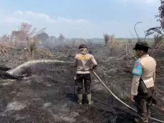 Karhutla Terparah Terjadi di Panipahan Rohil