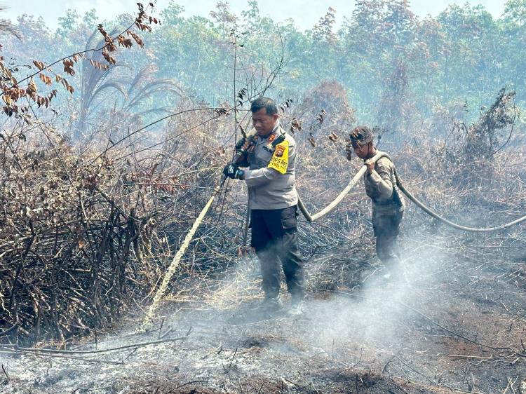 Timgab Masih Berjibaku Padamkan Karhutla di Desa Tanjung Kedabu