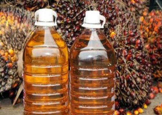 Sumringah, Harga CPO Hasil Tender PT KPBN Periode 5 Agustus 2024 Naik