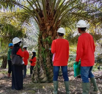 Ditunjuk Jadi Narsum dan Fasilitator, PT PLB Contoh Perkebunan Sawit Pengelolaan Bagus