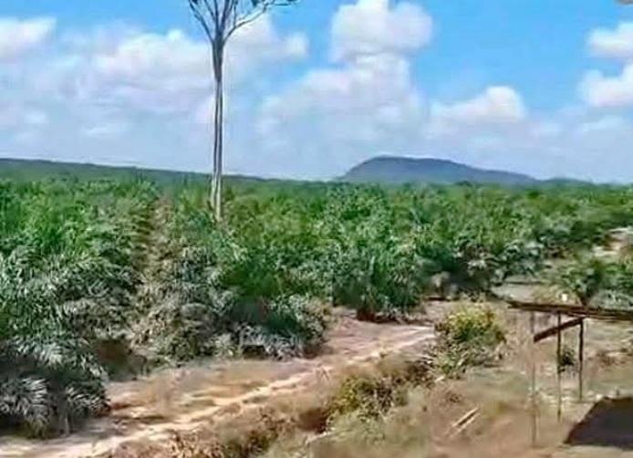 Kontrak Sudah Diteken Tapi Koperasi MMS Masih H2C Tunggu Pencairan Dana PSR