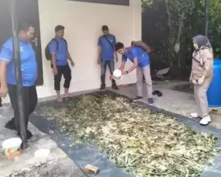 Kerbau Tidak Kekurangan Pakan di Kampar Ada Limbah Sawit