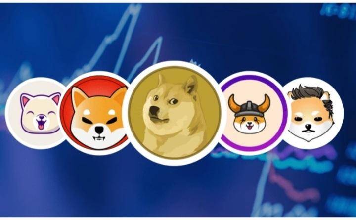 Platform Trading Meme Coin, Ini Koin yang Hype dan Populer!