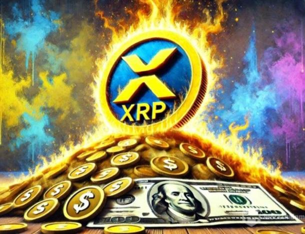 Siapa Holder XRP Terbanyak? Distribusi Ripple (XRP) Perlu Kamu Ketahui