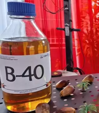 Penerapan Biodiesel B40 Mesti Diawasi Tim Khusus Untuk Jamin Kualitas