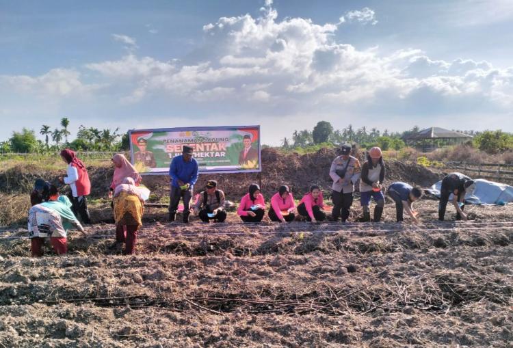 Polsek Rangsang Tanam Bibit Jagung Bersama Poktan Sehati di Teluk Samak