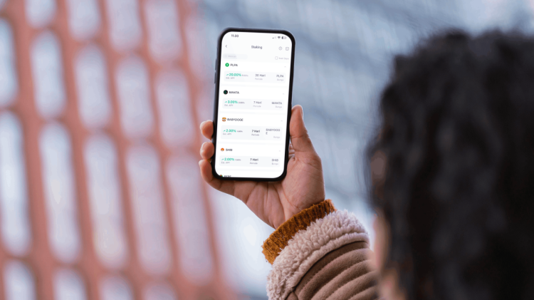 Gejolak Pasar Aset Digital Indonesia Tantangan Besar Bagi Investor