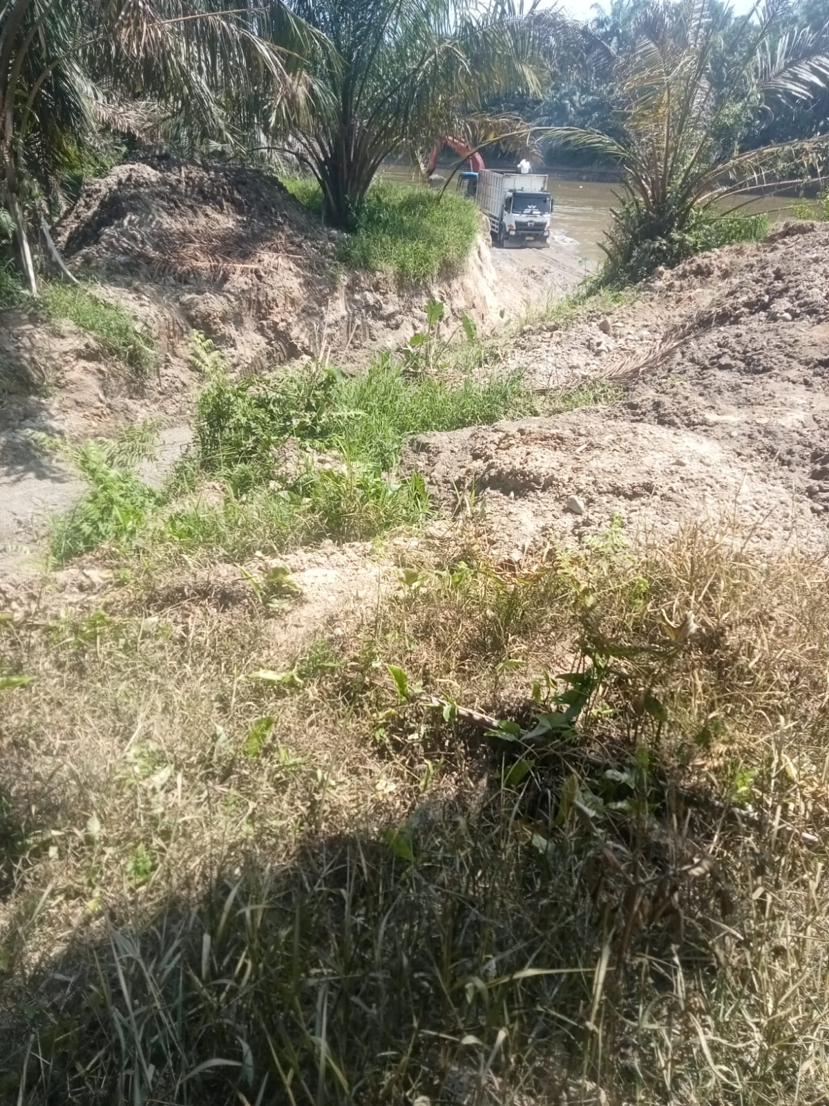 Diduga Ilegal, Kejati Riau Diminta Tangkap Pelaku Usaha Galian C di Bantaran Sungai Rokan