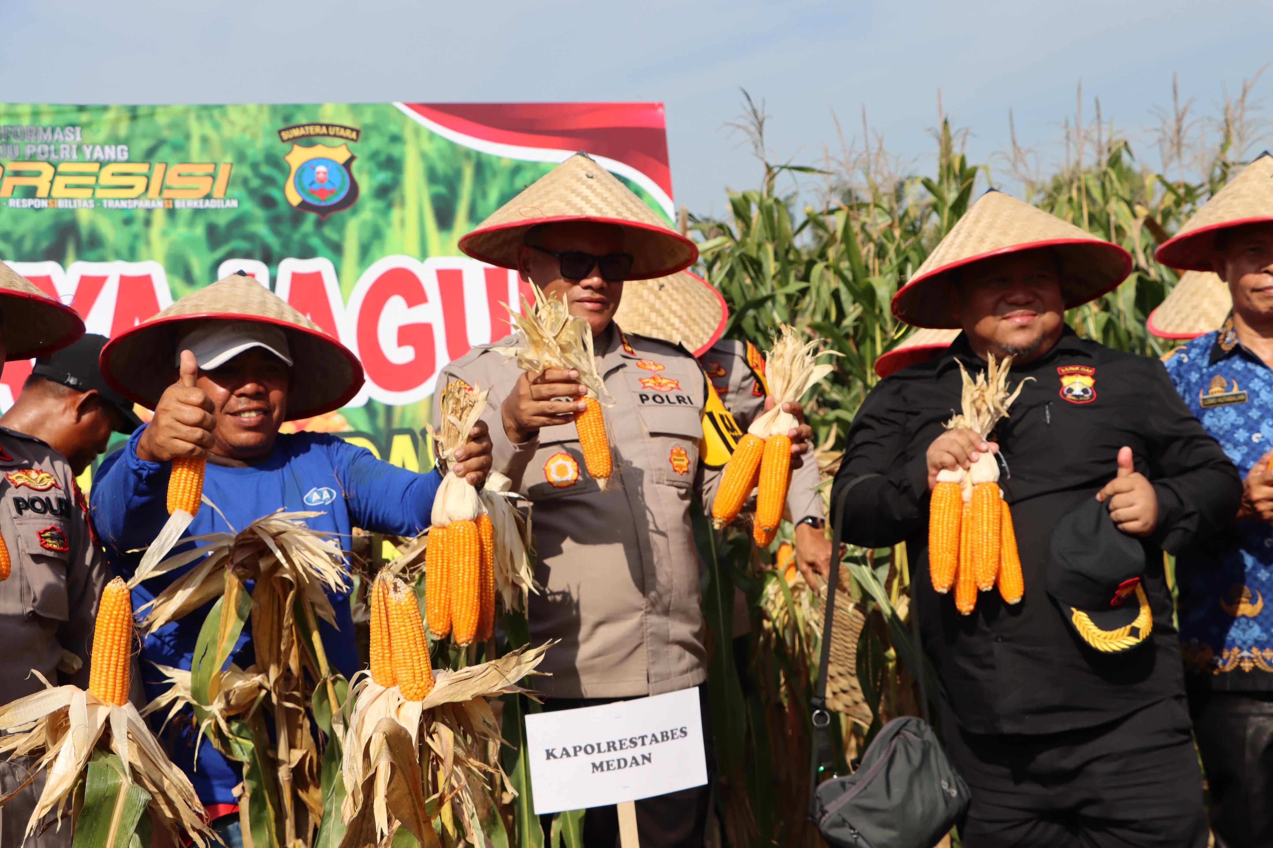Panen Raya Jagung di Deli Serdang, Polri Kawal Langkah Swasembada Pangan 2025