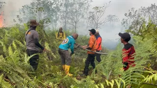 Karhutla di Kepeluan Meranti Berhasil Dikendalikan Kini Tahap Pendinginan