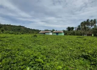 Kementerian PU: Sekolah Rakyat Tahap II Segera Dibangun di Jailolo Selatan Halmahera Barat