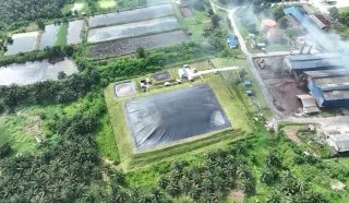 Holding PTPN PalmCo Dorong Mitigasi Iklim, Jual Kredit Karbon Mulai Rp150 Ribu per Ton