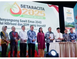 Target Pasar Golobal, RSPO dan Apkasindo MoU Gesa Pertumbuhan Inklusif Pekebun Sawit