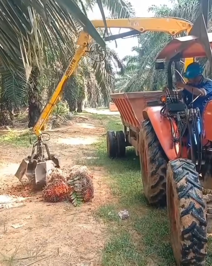 Antara Kelapa Sawit, Perjanjian IEU-CEPA dan Babak Baru Hubungan Dagang