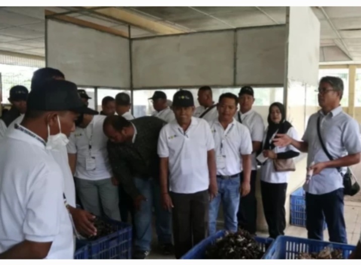Genjot Produktivitas, RPN Latih Pekebun Labusel Teknis Budidaya Sawit