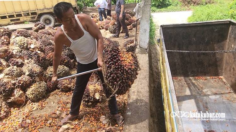 Kisah Joni di Rantau Panjang