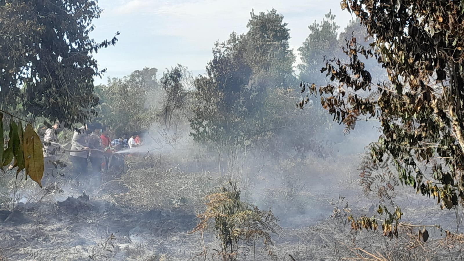 Rimbo Panjang Membara, Wakapolda Riau dan Kapolres Kampar Pimpin Pemadaman Karhutla