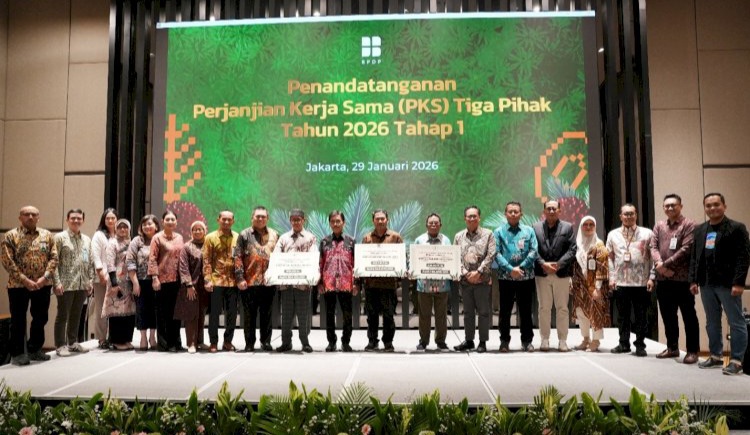 BPDP Genjot Program PSR Targetkan 50.000 Hektare 2026