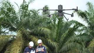 Manajemen Vegetasi dan Analisis Koridor Transmisi Gunakan Software LiDAR Terrasolid