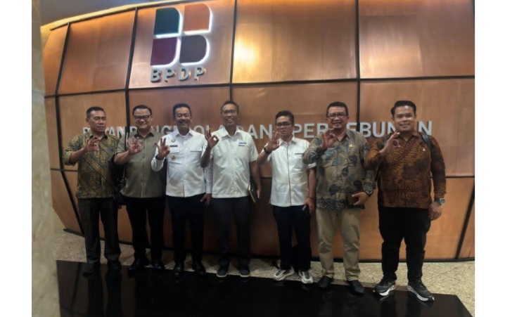 'Jemput Bola' ke Jakarta, Bupati Madina Duduk Semeja Bersama BPDP Bahas Program Strategia Sawit