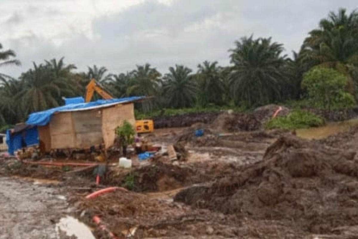 Tambang Emas Ilegal di Lahan PT PSU Madina Disorot, Diduga Terorganisir dan Bernilai Miliaran Rupiah
