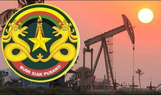Calon Direktur PT BSP Rame yang Ikut, Bupati Siak Pastikan Tak Ada Titipan, Semua Berpeluang!