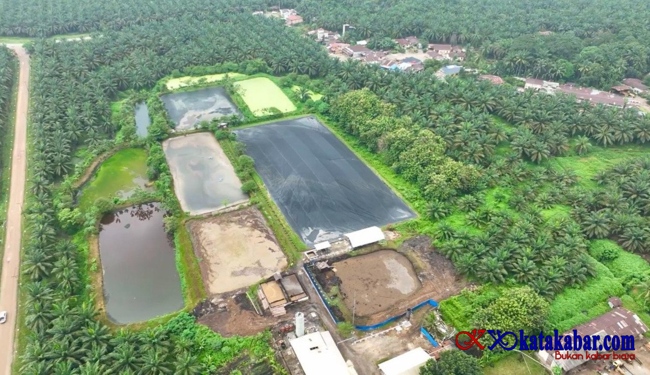 Hadapi Gejolak Energi Global, Holding PTPN Andalkan dan Optimalkan POME PLTBg PalmCo