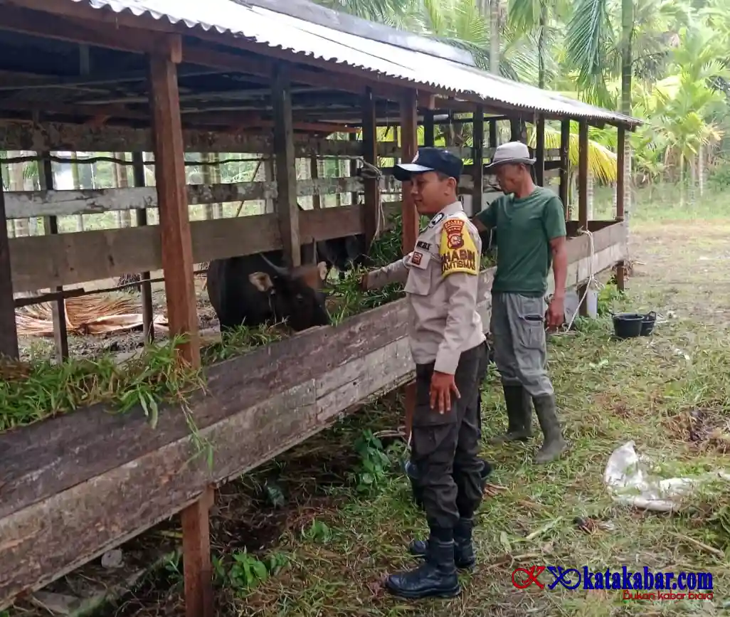 Dukung Ketapang Nasional, Bhabinkamtibas Polsek Merbau Sambangi Pertenak Sapi