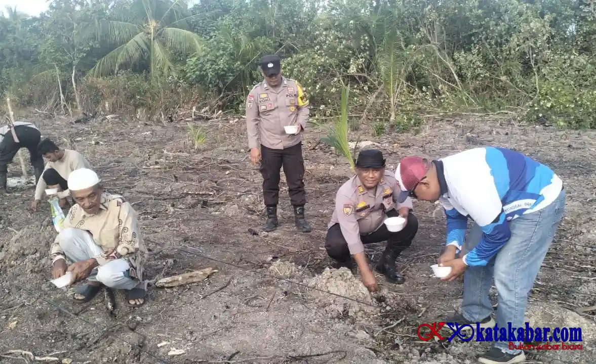Penanaman Jagung Pipil Berlanjut, Polsek Rangsang Perkuat Dukungan Ketahanan Pangan Nasional