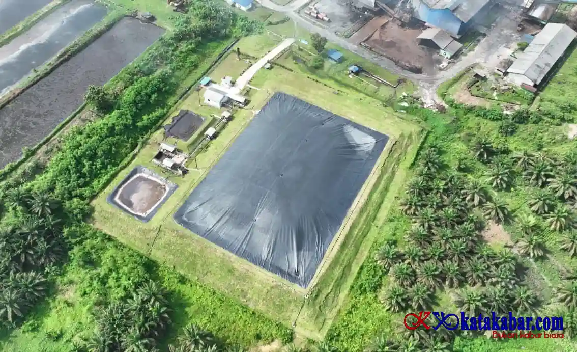 Lewat Perdagangan Karbon PTPN IV PalmCo Perkuat Transisi Energi Bersih