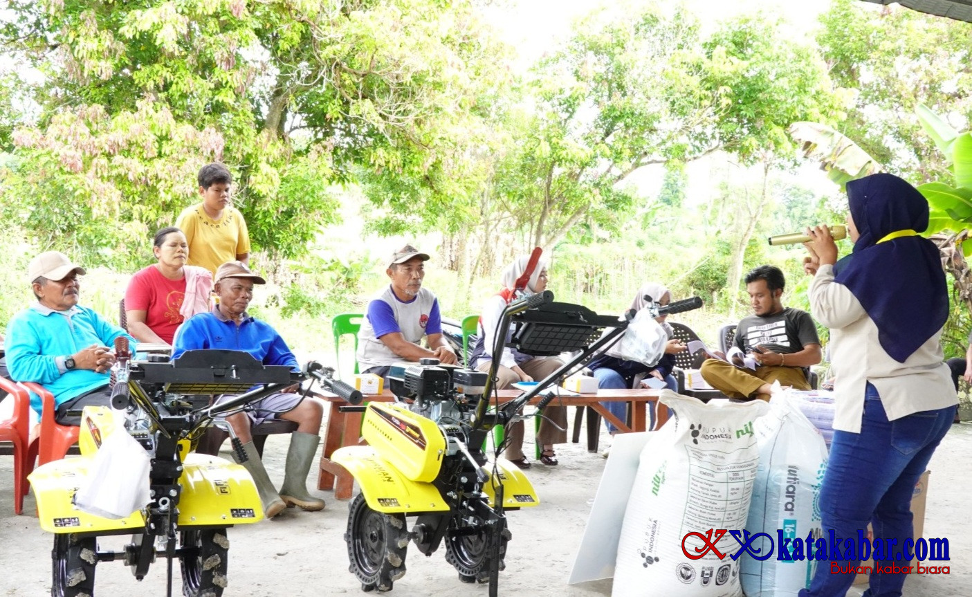 PHR Bangkitkan Gairah Petani Jaga Ketapang di Lahan Holtikultura Bengkalis