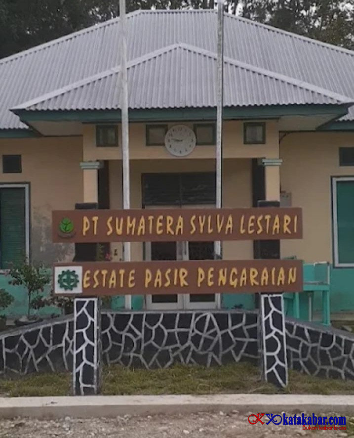Tanpa Payung Hukum, PT SSL Babat dan Kuasai Hutan Leluhur Rokan Hulu Seluas 42.530 Hektar