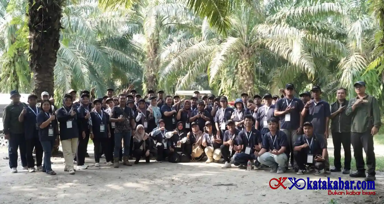 Belajar di Kebun Adolina PTPN: Cara Efektif Tingkatkan Produktivitas Sawit Rakyat
