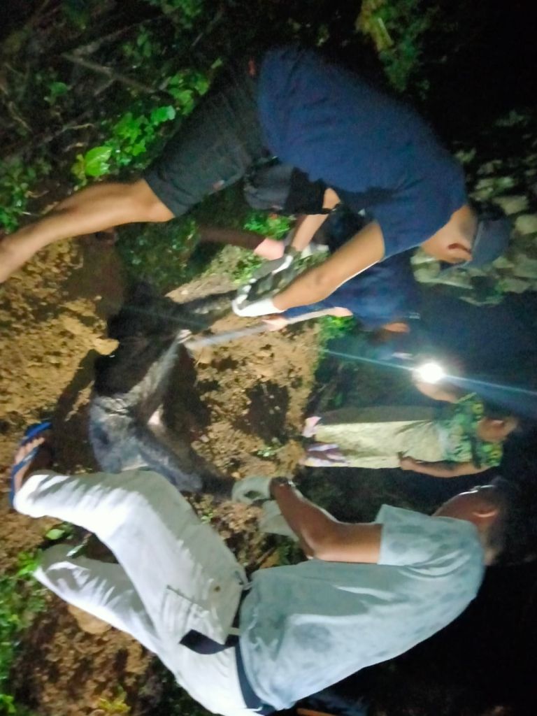 Hendak Dievakuasi, Kambing Hutan Sumatera Mati