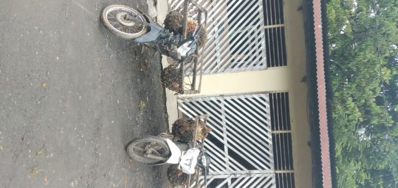 Kreta Pencuri  Sawit di PT Lonsum Dilepas, Manajemen Geger
