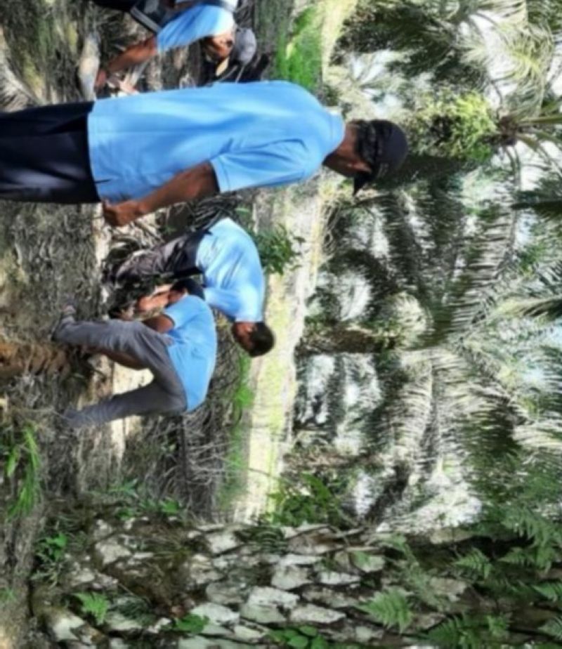 Petani Sawit Dilatih Perbanyak Agens Hayati di Kaltim Kendalikan Hama